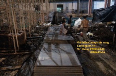  Công trình xây dựng Mái hiên lấy sáng Trung Tâm Thể Thao Q.Tân Phú .